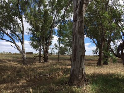 7160 Goulburn Valley Highway, Kialla West