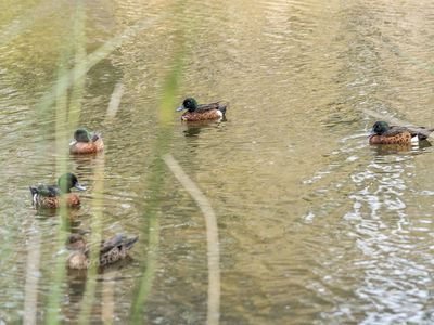 11 Aney Street, Lake Conjola