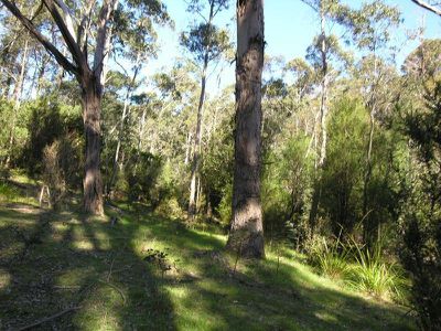 Pelverata Road, Pelverata