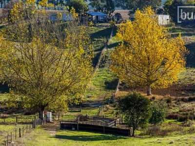 49 Perkins Road, Lucyvale