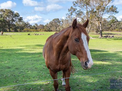 126 Bidewell Road, Kordabup