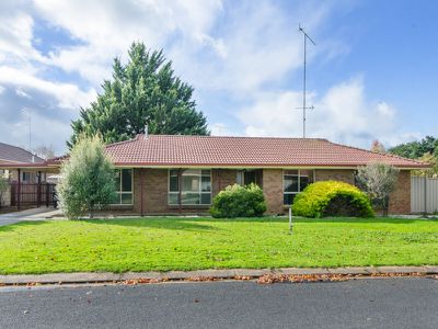 41 Starline Drive, Mount Gambier