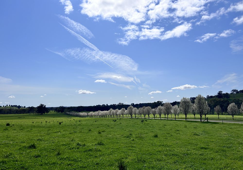 252 Welshs Road, Baddaginnie