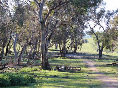 312 Bosworth Falls Road, O'connell