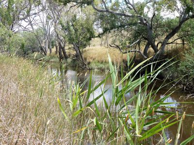 320 Tallarook-pyalong Rd, Tallarook