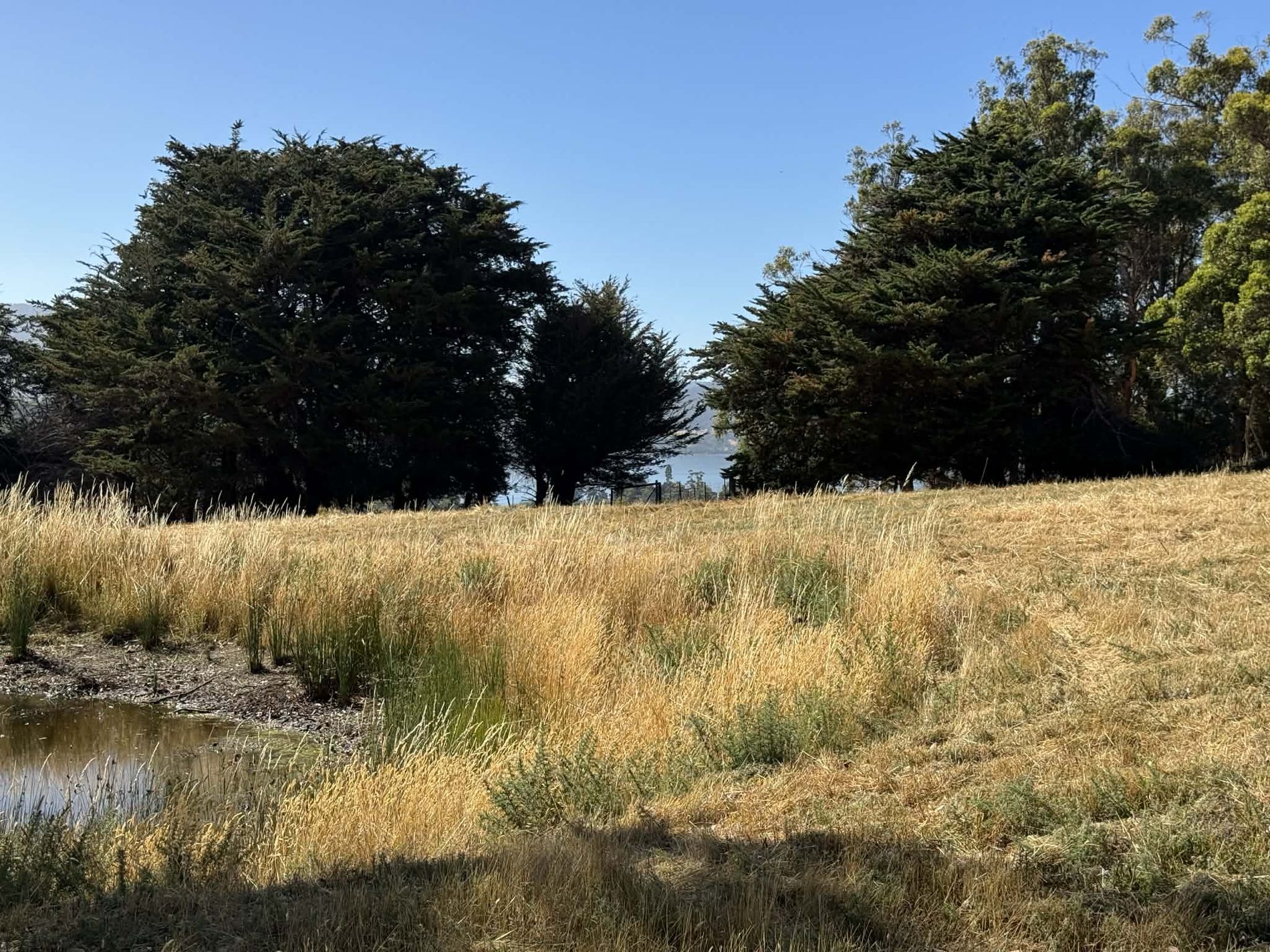 Lot 2, Direens Road, Lymington