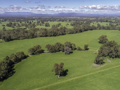 Goodwins Lane, Milawa