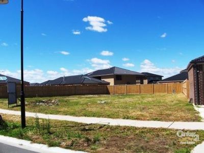 3 Blue Peppermint Court, Lyndhurst