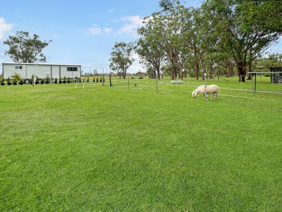 32 Tonia Avenue, Salt Ash