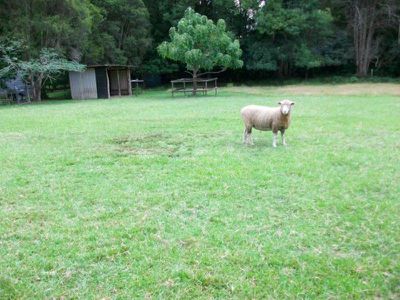 32 Old Chittaway Road, Fountaindale