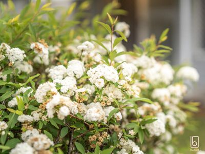 8 Canton Parade, Noraville