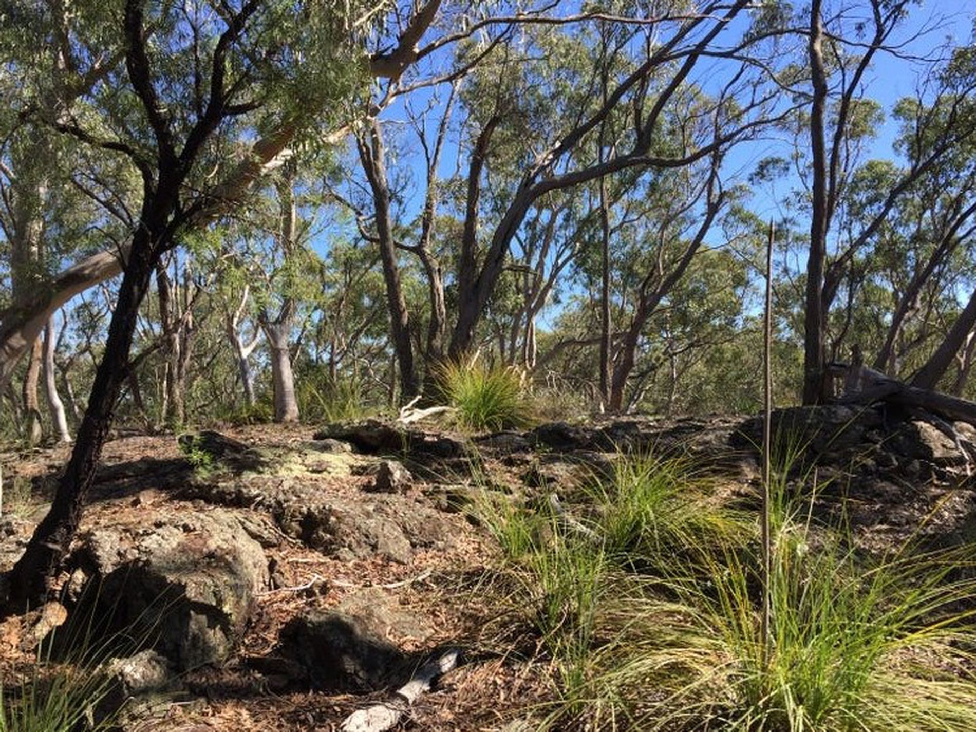 243 Jacquet Road, Braidwood