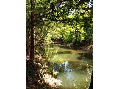 3146 Endeavour Valley Road, Cooktown