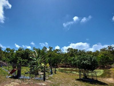 1105 Mount Amos Road, Cooktown