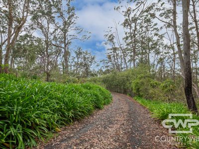 7 Ward Crescent, Glen Innes