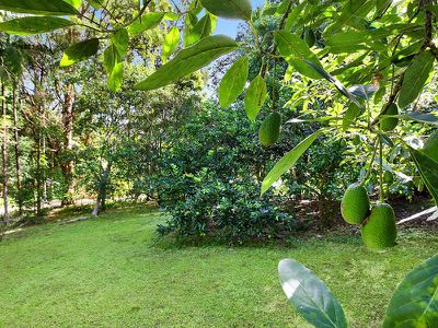 9 Cedar Wood Grove, Flaxton