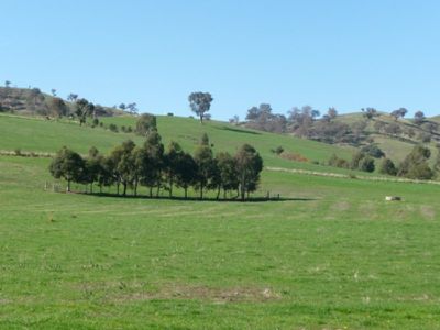 Gundowring Road, Gundowring