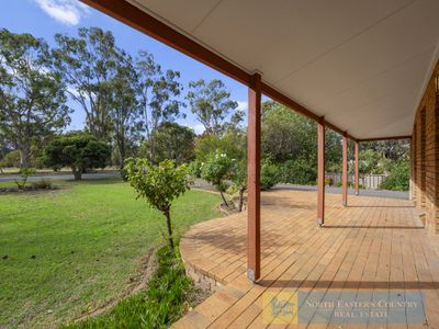31 Shiffner Street, Violet Town