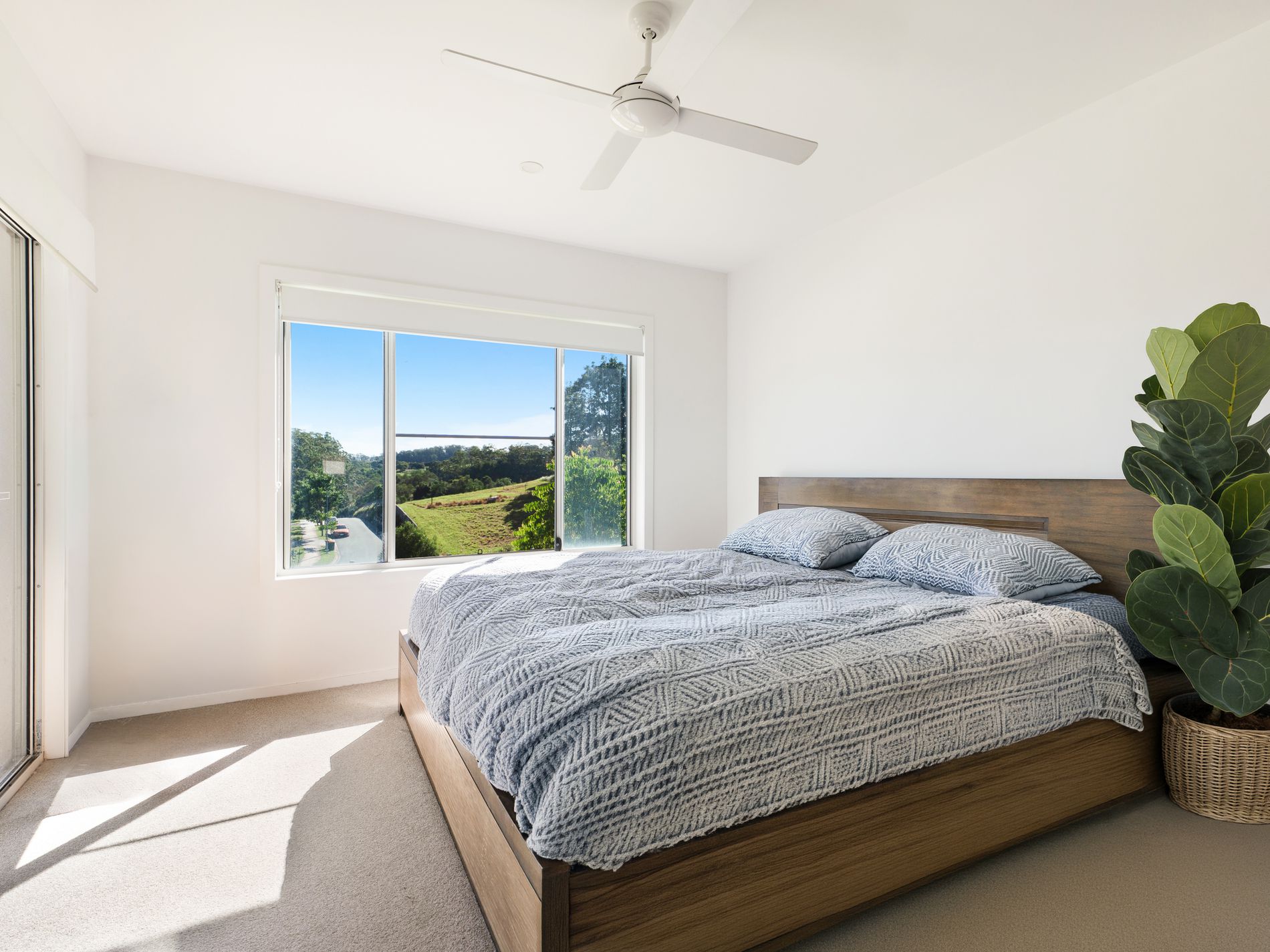 49 Abbotts Road, Palmwoods