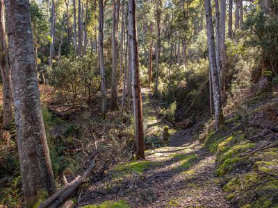 Lot 2 and 3, Kubes Road, Petcheys Bay