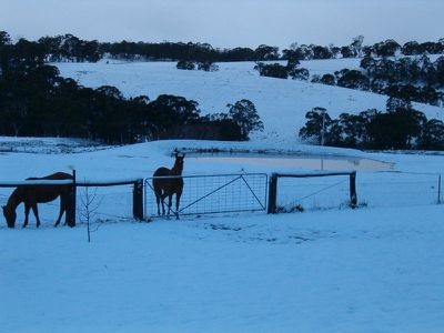 117 Diamond Swamp Road, Meadow Flat