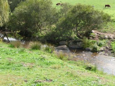 Koetong Creek Road, Granya