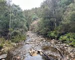 711 Judds Creek Road, Judbury