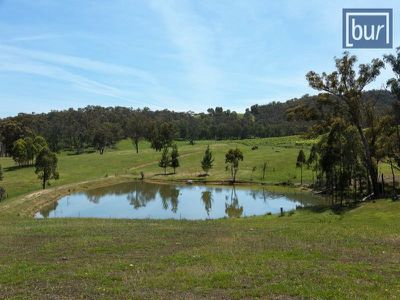 3143 Jingellic Road, Lankeys Creek