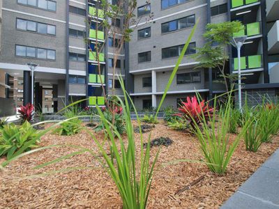 3 / 10 Bidjigal Road, Arncliffe