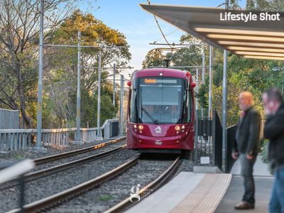 502 / 280 Jones Street, Pyrmont