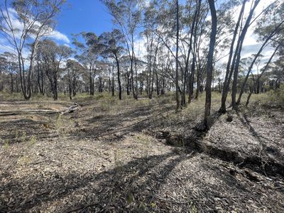 CA 37H Olympic Parade, Maiden Gully