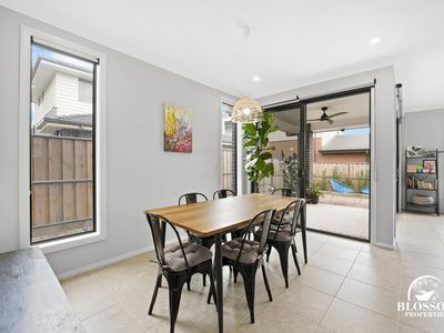 244 George Street, Box Hill