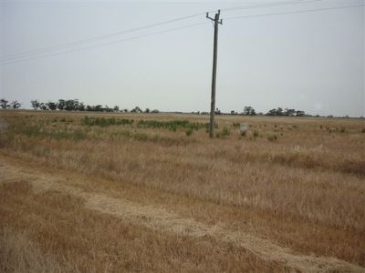 3341 Borung Highway, Donald