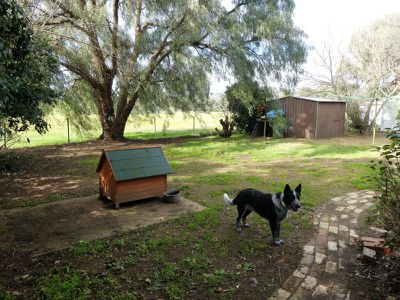 15 Anderson Street, Avenel