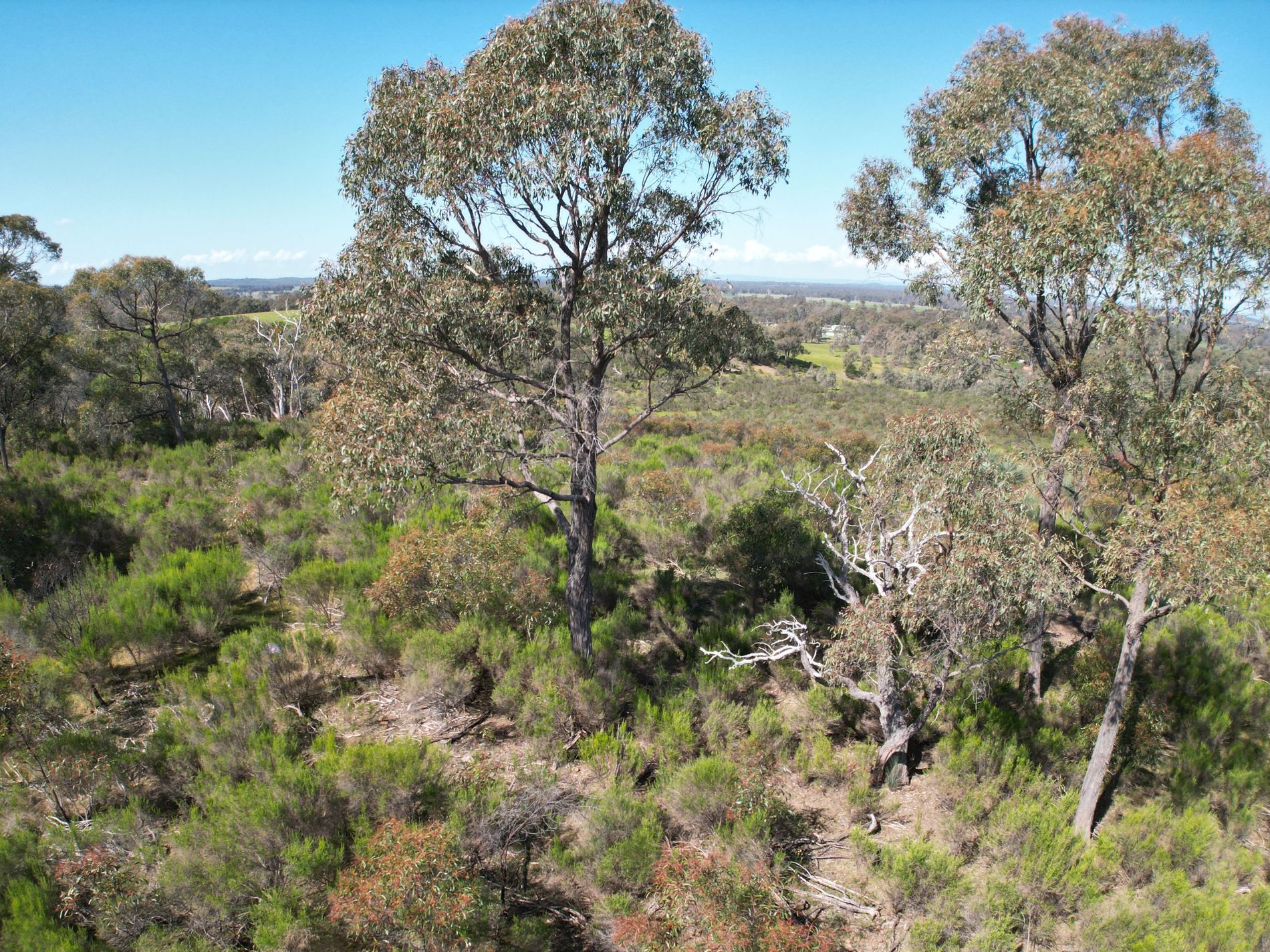 Lot 12 Heathcote-Nagambie Road, Moormbool West