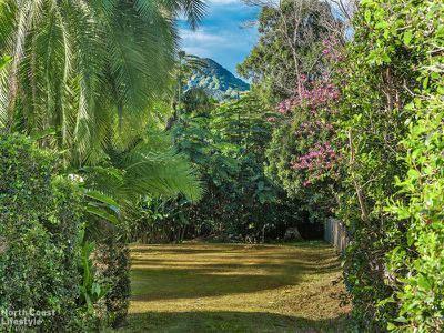 20 Azalea Street, Mullumbimby