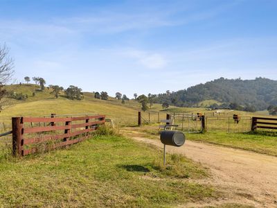 474 Neringla Road, Neringla, Araluen