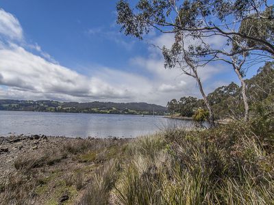 4156 Huon Highway, Castle Forbes Bay