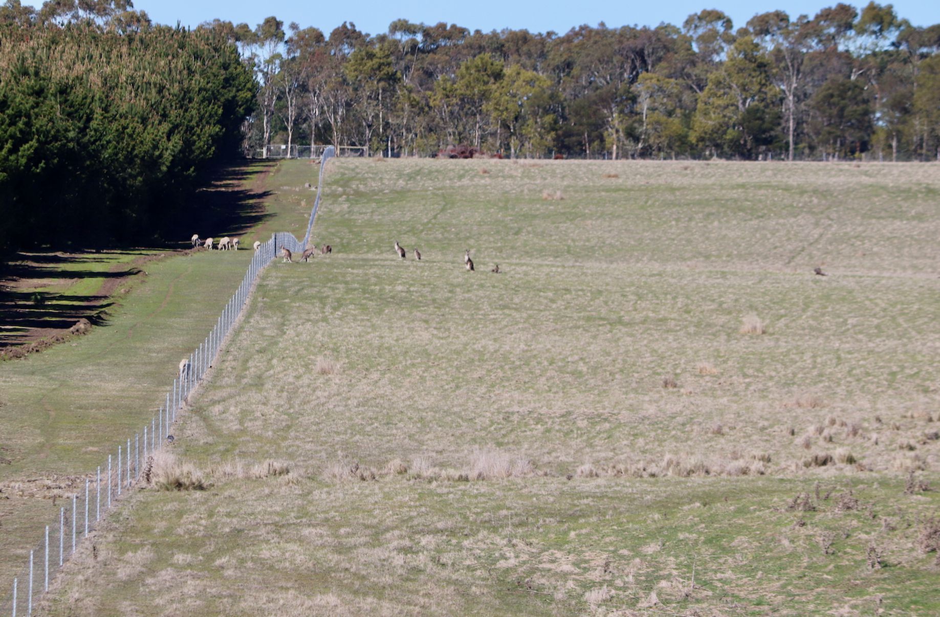 Lot 13, 13A, 13B, 31A &, 31C BRIDGE ROAD, Grenville