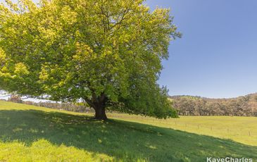 55 Leppitt Road, Pakenham