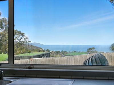 13 Hardner Court, Carlton