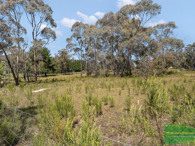 34 Wild Wood Road, Meadow Flat