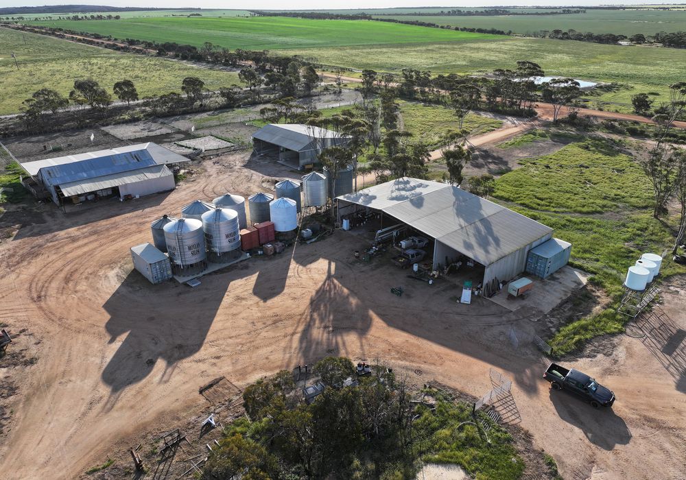 'Kamdarley' & 'King View', Hyden