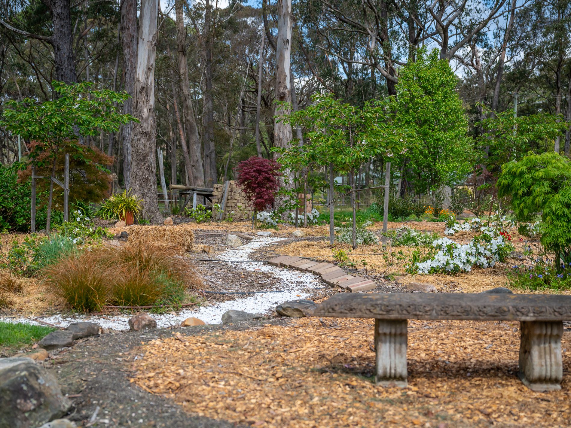 1261 Sheepwash Road, Fitzroy Falls