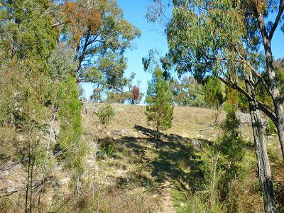 255 Horton Drive, Woodstock
