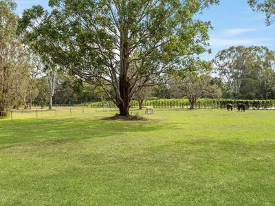300 Peel Road, Beachmere