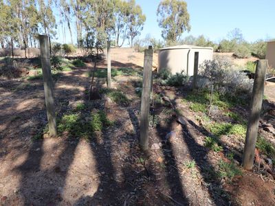 50 Pook Road, Redcastle