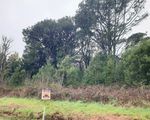 Lot 1, Beulah, Beulah