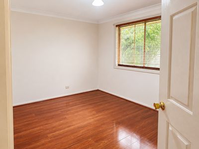17 Pimelea Place, Rooty Hill