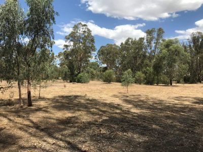 Lot 154, Murrabit Road, Koondrook